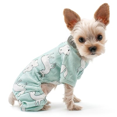 PJ Polar Bear by Dogo Pet - Pooch Luxury