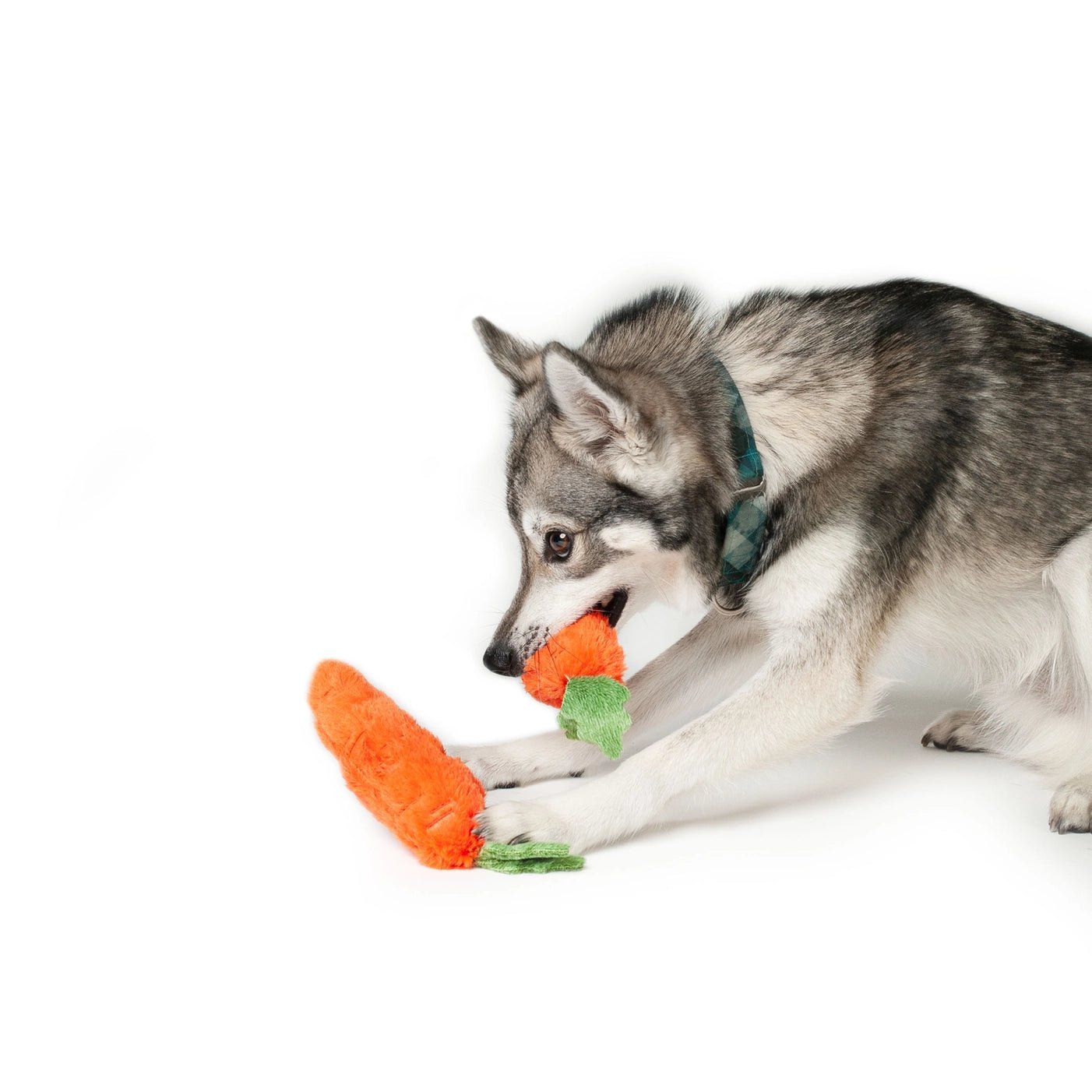 Plush Carrot Easter Dog Toy - Pack of 2 - Pooch Luxury