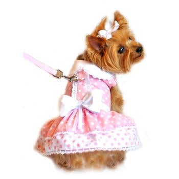 Polka Dot and Lace Dress - Pooch Luxury