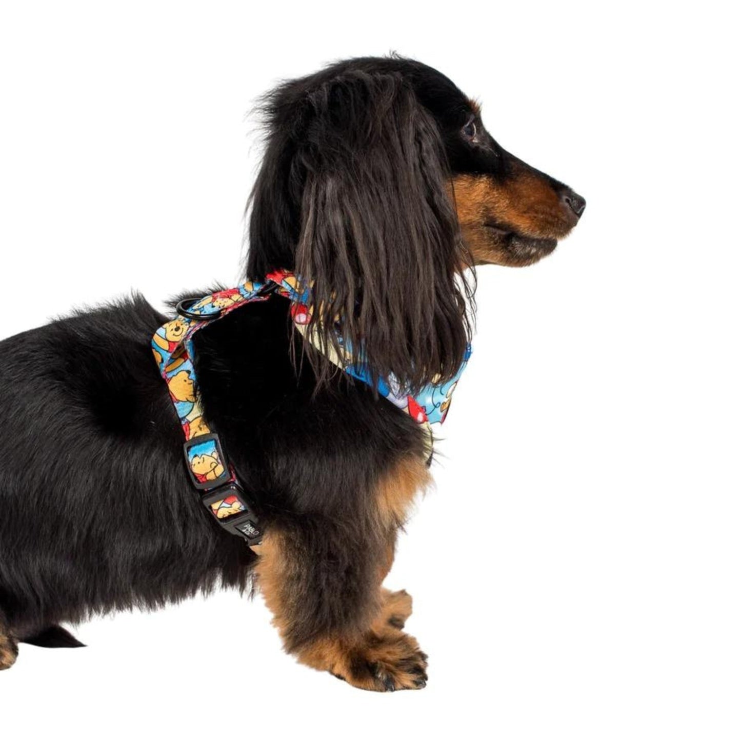 Pooh's Balloons Adjustable Harness - Pooch Luxury