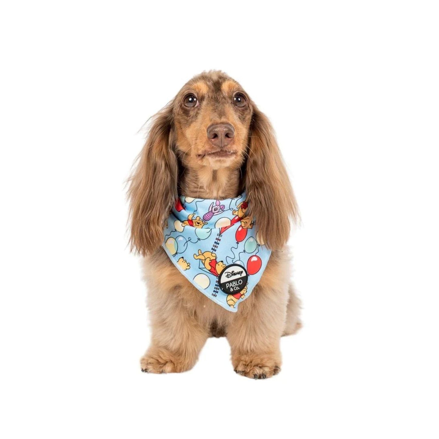 Pooh's Balloons Dog Bandana - Pooch Luxury