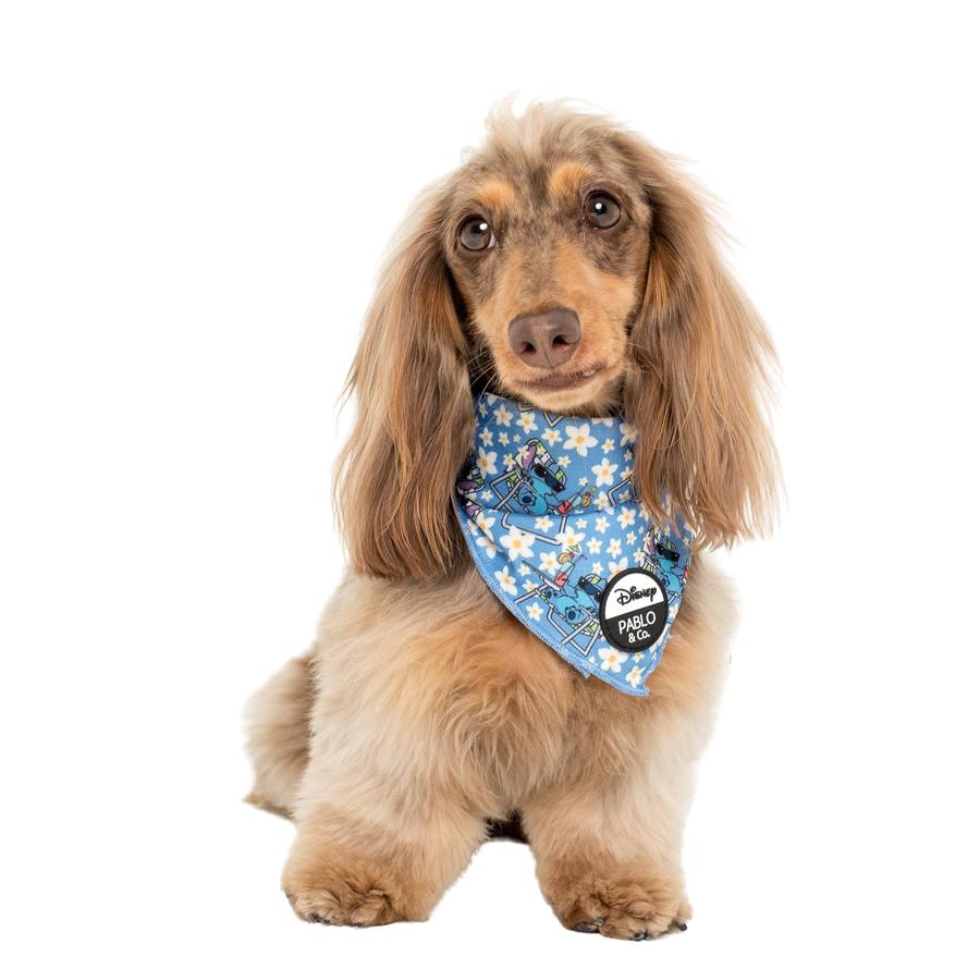 Stitch By The Pool Dog Bandana - Pooch Luxury