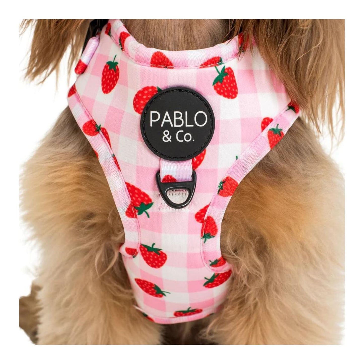Strawberry Fields Adjustable Harness - Pooch Luxury