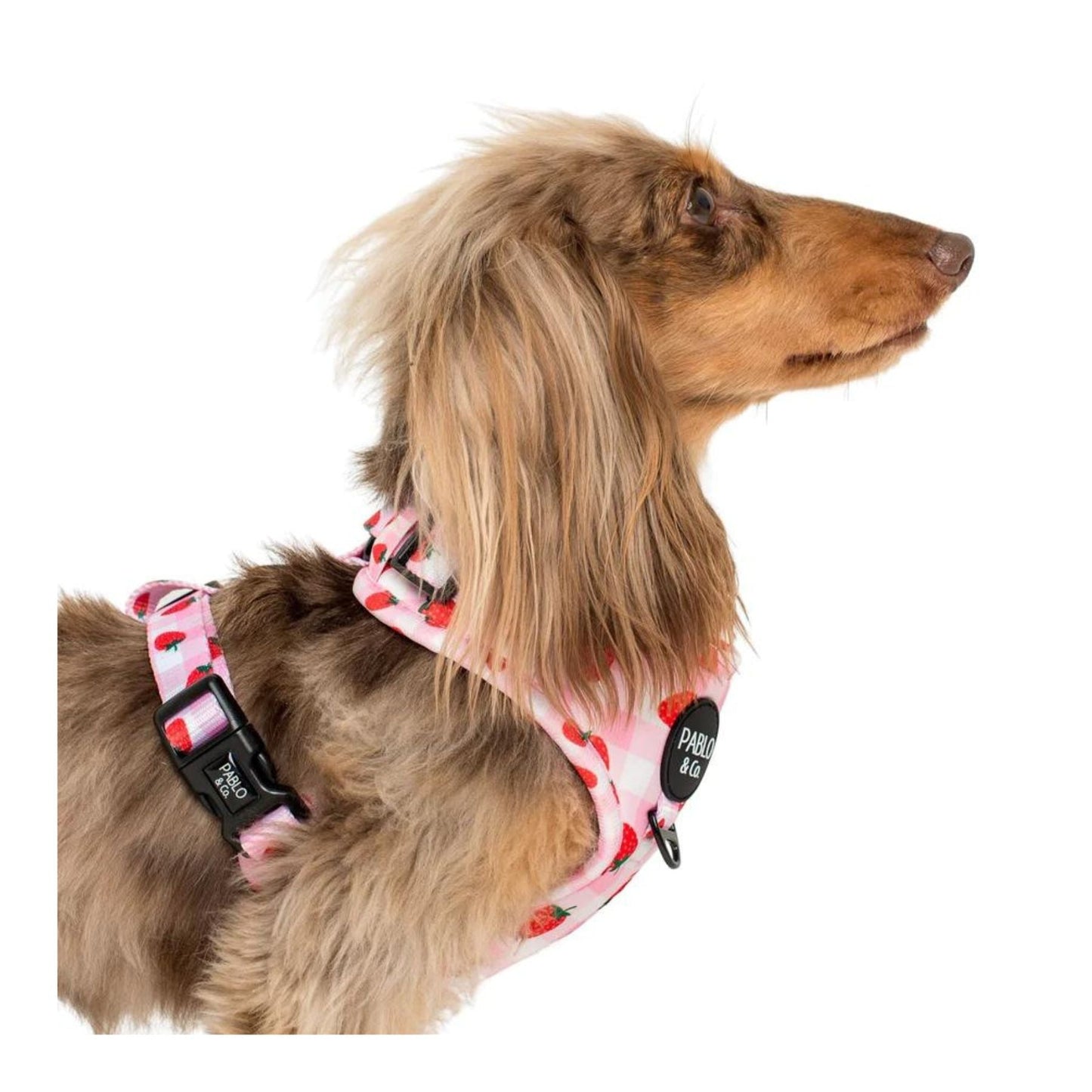 Strawberry Fields Adjustable Harness - Pooch Luxury