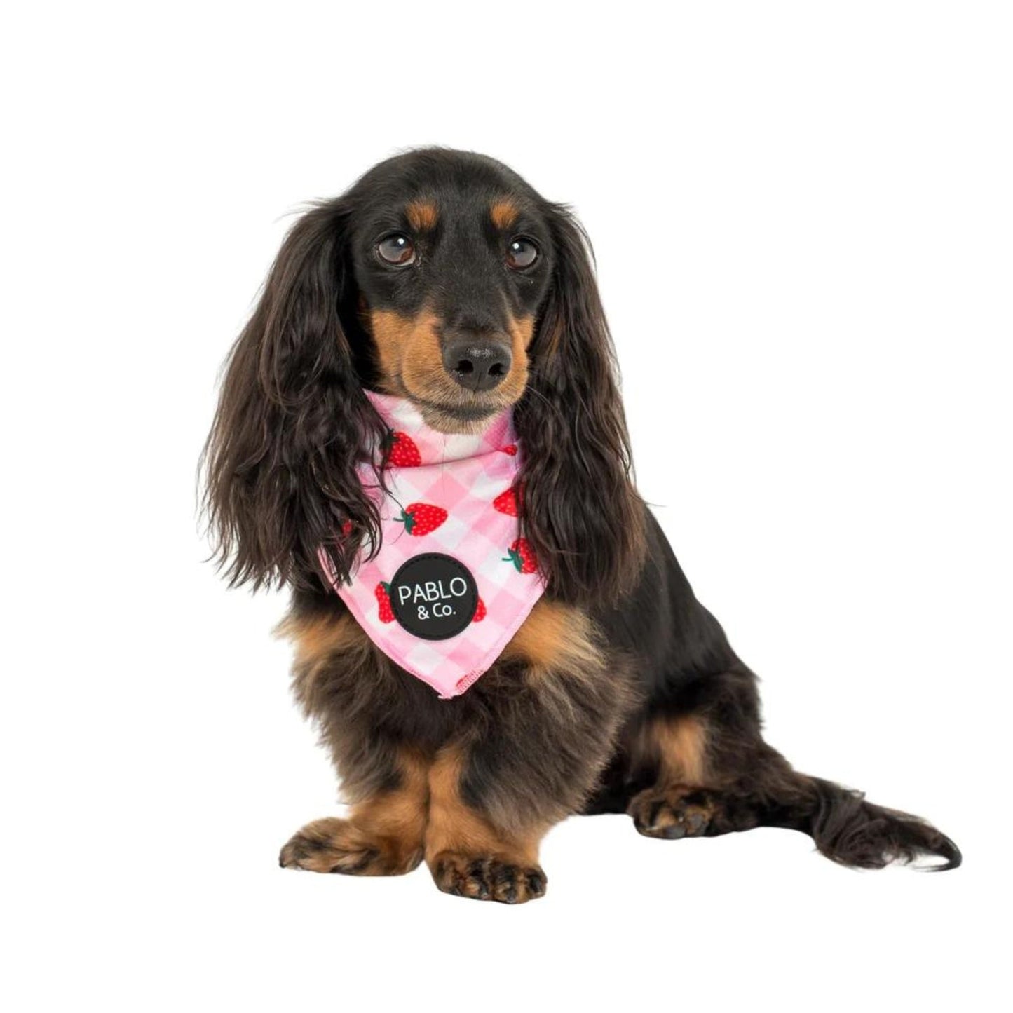 Strawberry Fields Dog Bandana - Pooch Luxury