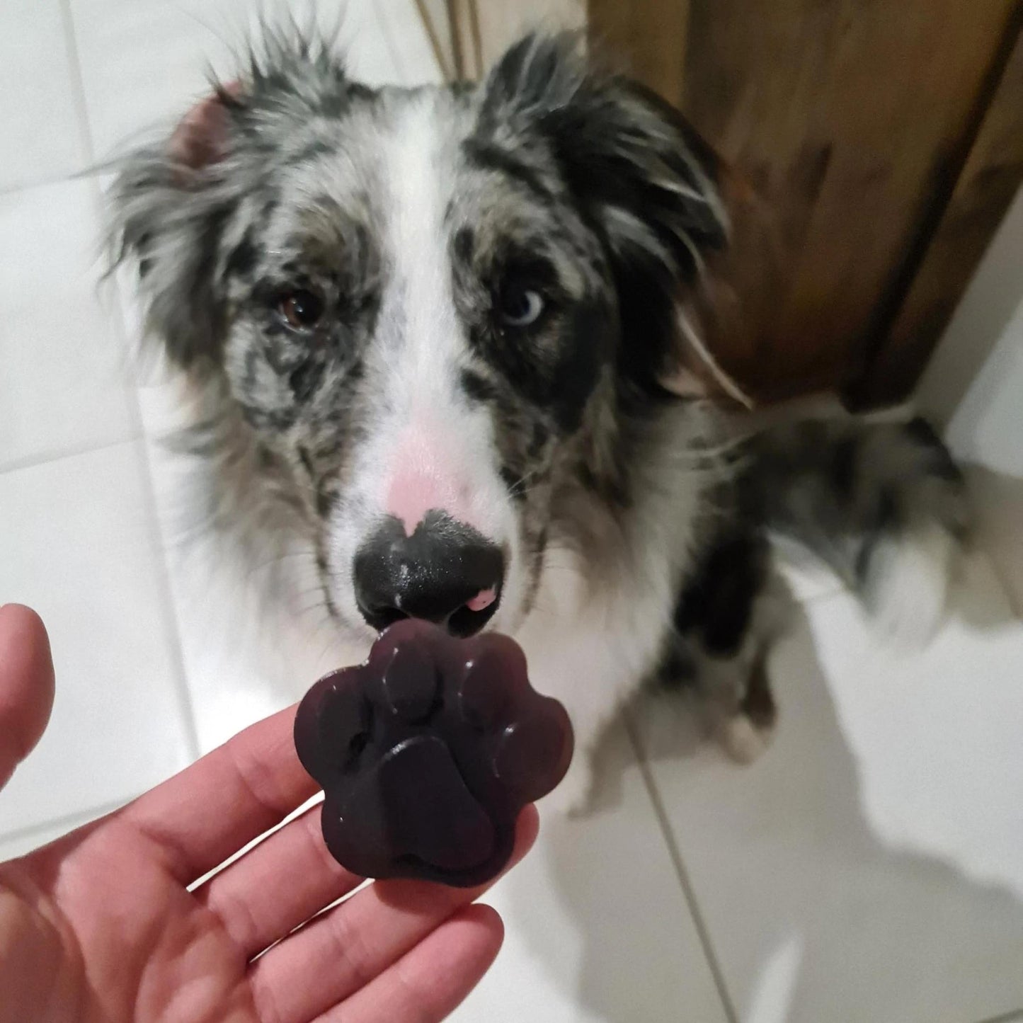 Strawberry Superfood Jelly - Pooch Luxury