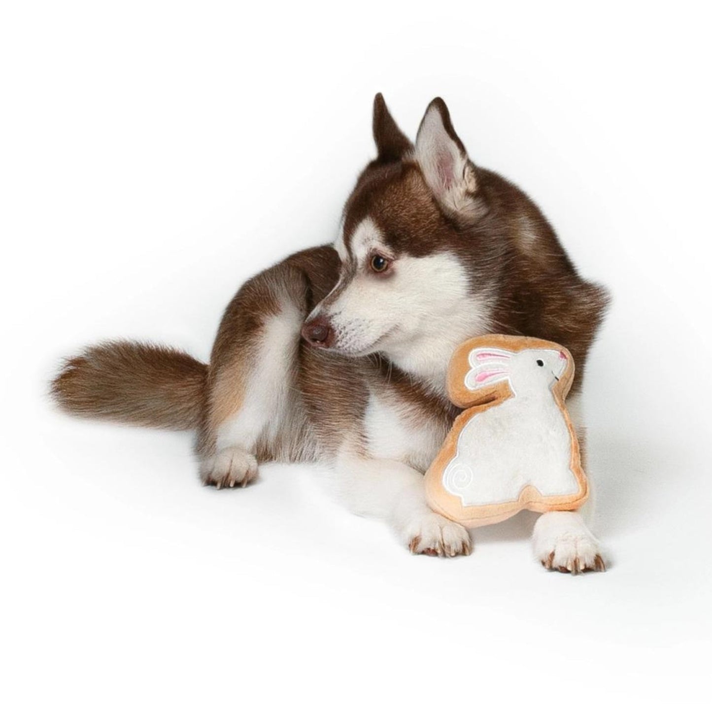 Sugar Cookie Easter Bunny Dog Toy - Pooch Luxury