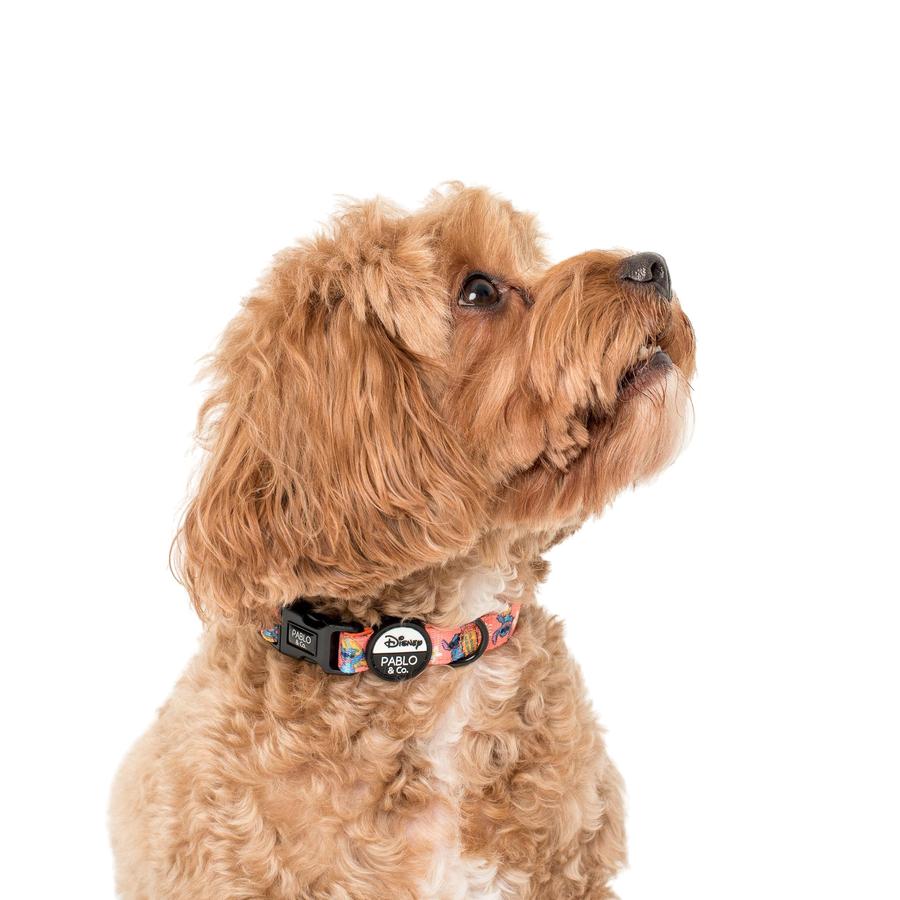 Surfin' Stitch Dog Collar - Pooch Luxury