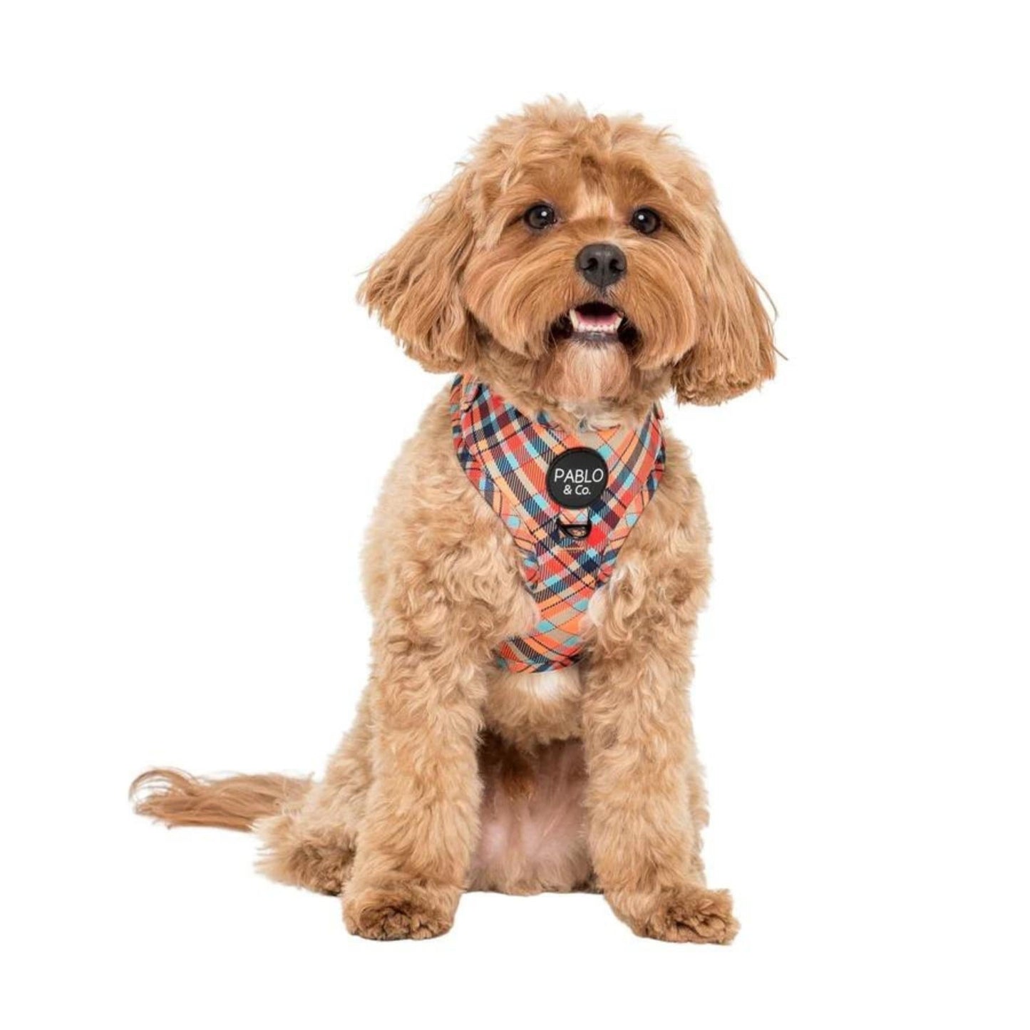 Tartan Adjustable Harness - Pooch Luxury