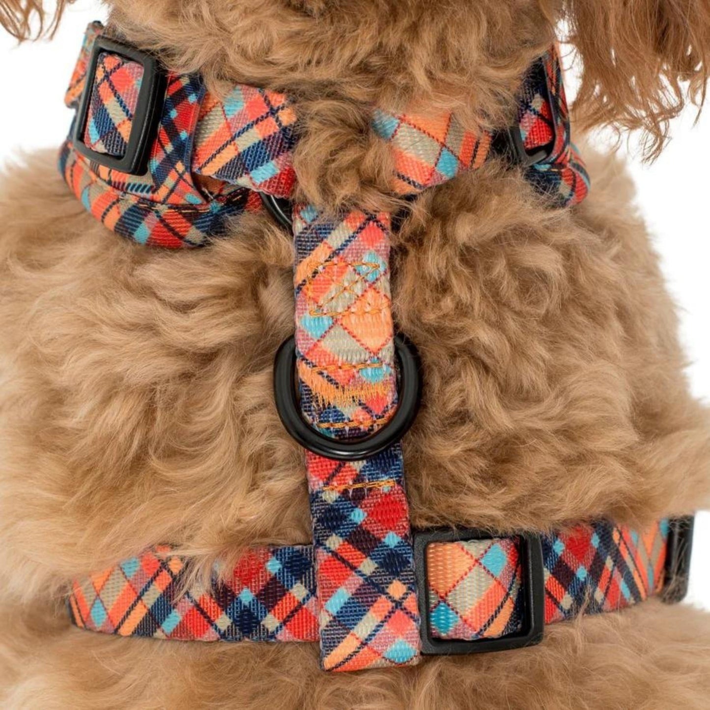 Tartan Adjustable Harness - Pooch Luxury