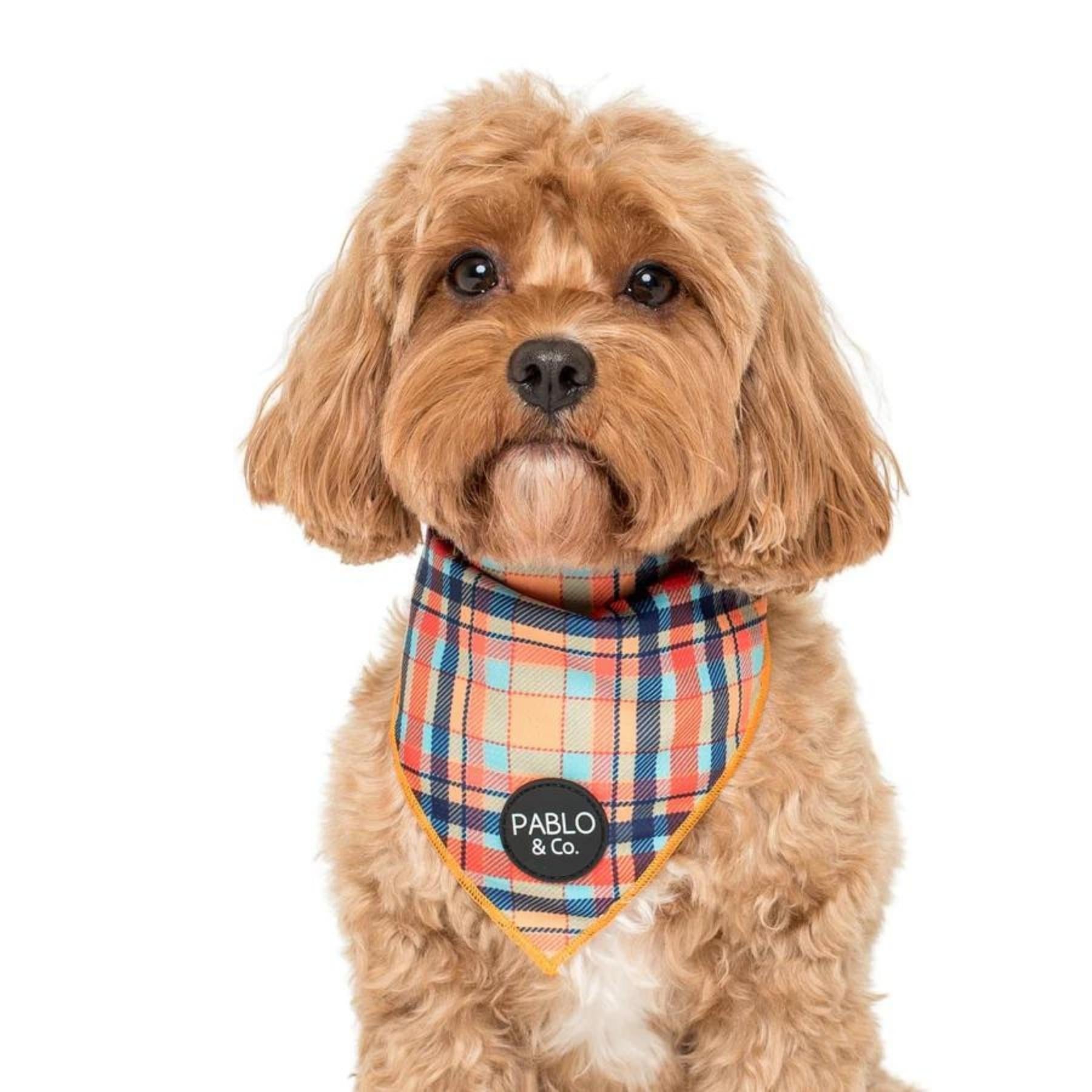 Tartan Dog Bandana Pooch Luxury