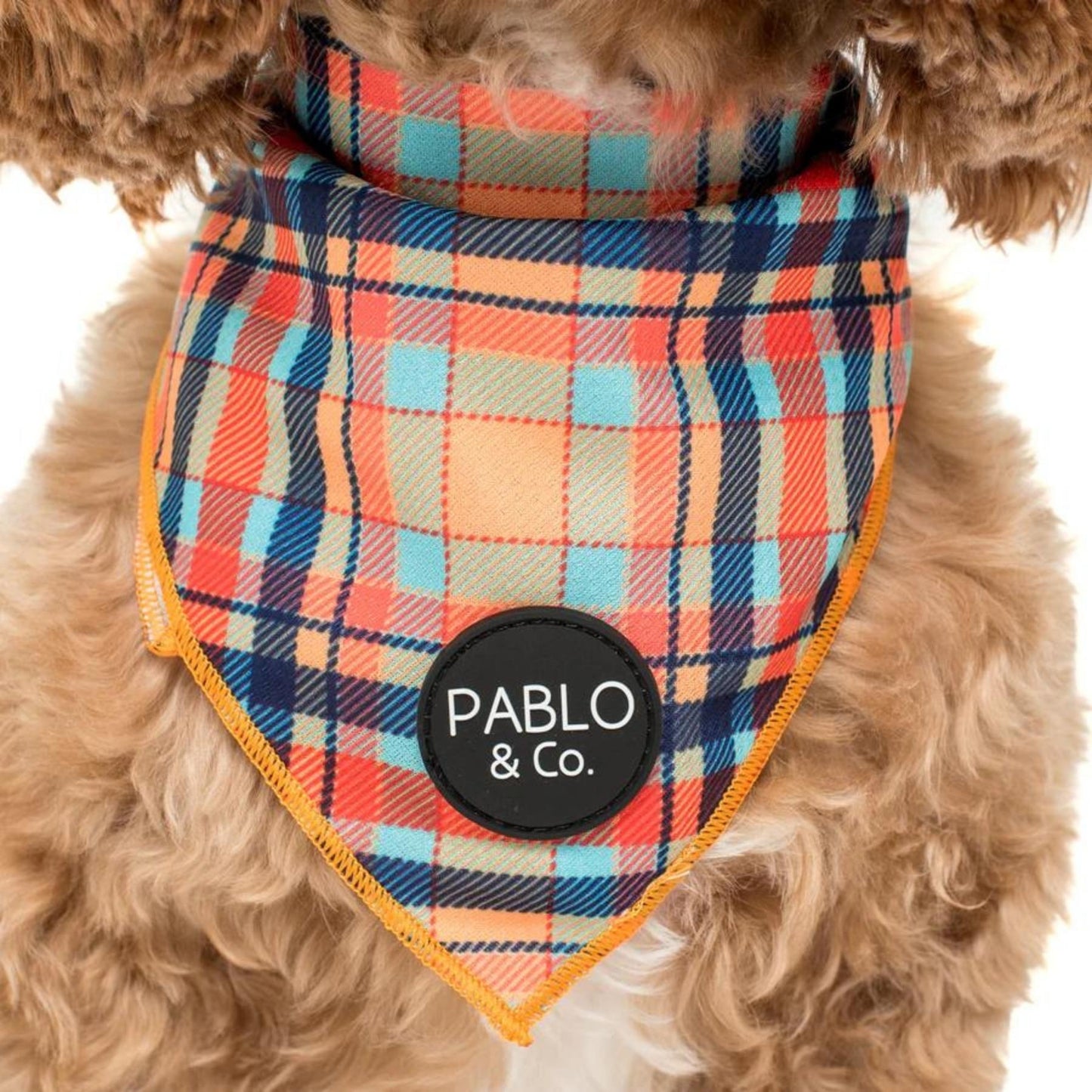 Tartan Dog Bandana - Pooch Luxury