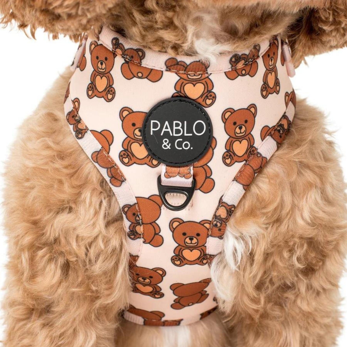 Teddy Bears Picnic Adjustable Harness - Pooch Luxury