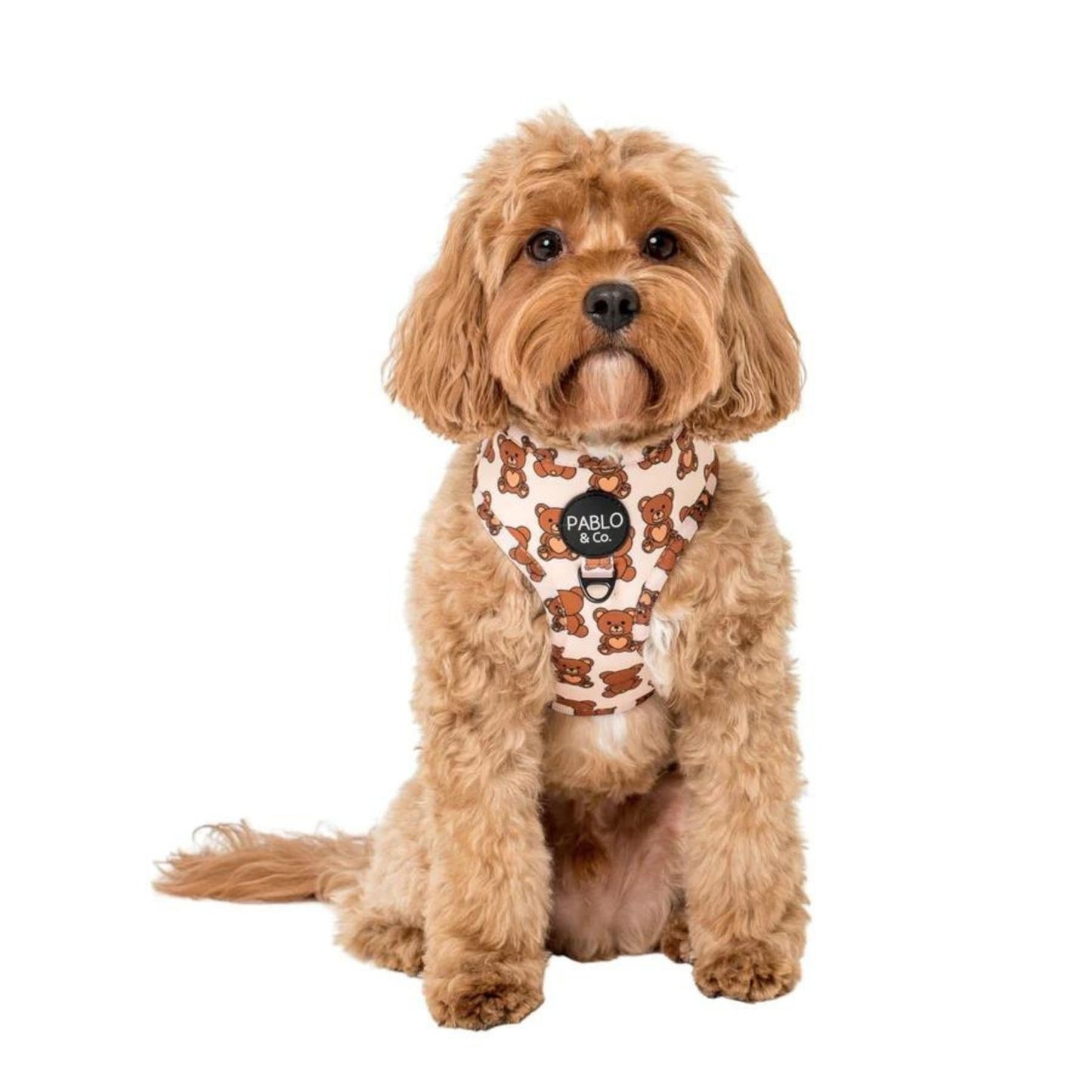 Teddy Bears Picnic Adjustable Harness - Pooch Luxury