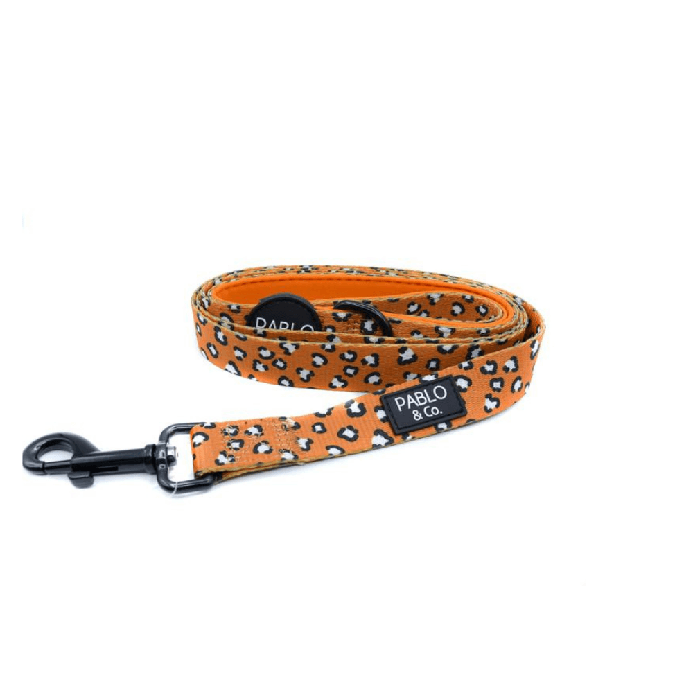 That Leopard Print Dog Leash Pooch Luxury