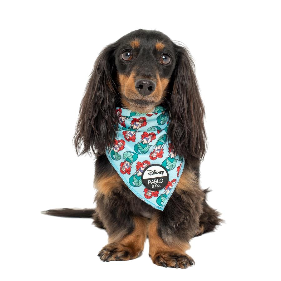 The Little Mermaid - Ariel Dog Bandana - Pooch Luxury