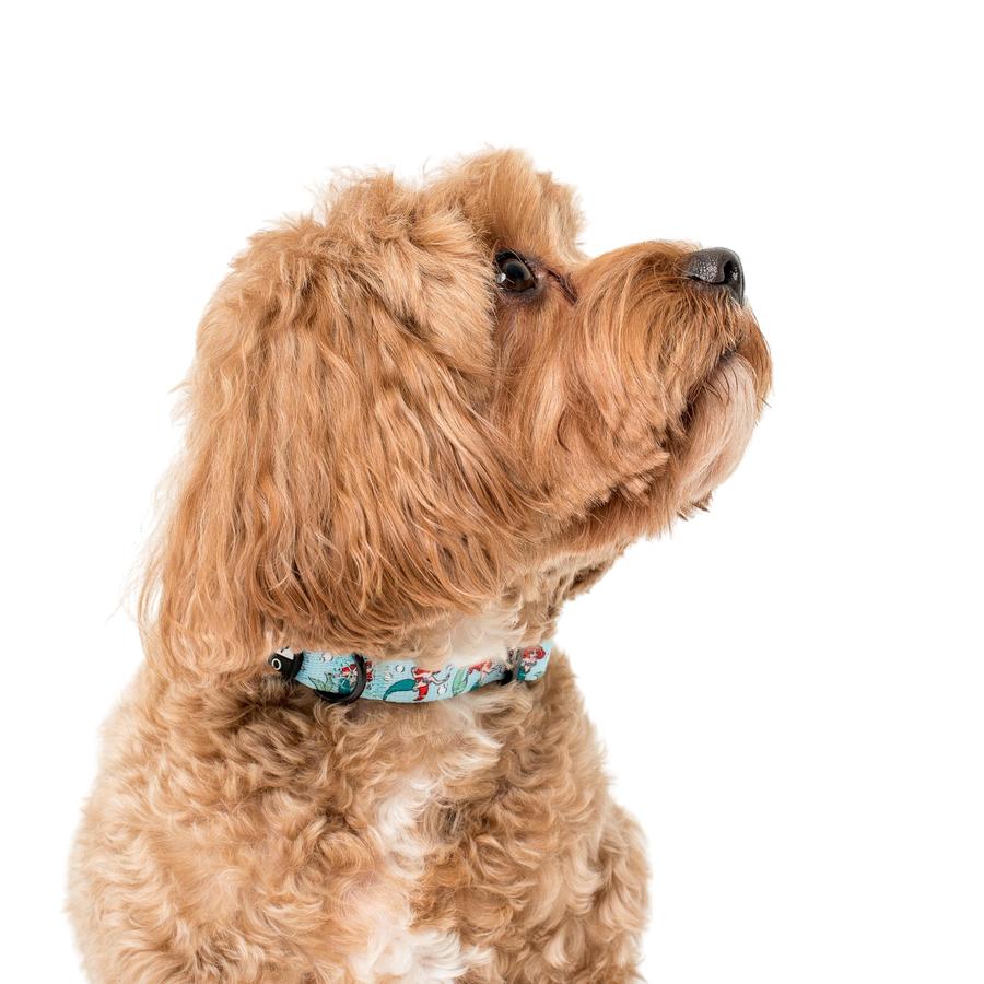 The Little Mermaid - Ariel Dog Collar - Pooch Luxury
