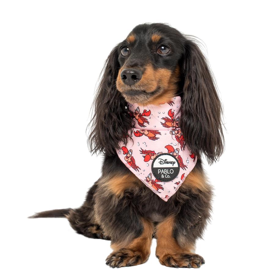The Little Mermaid - Sebastian Dog Bandana - Pooch Luxury