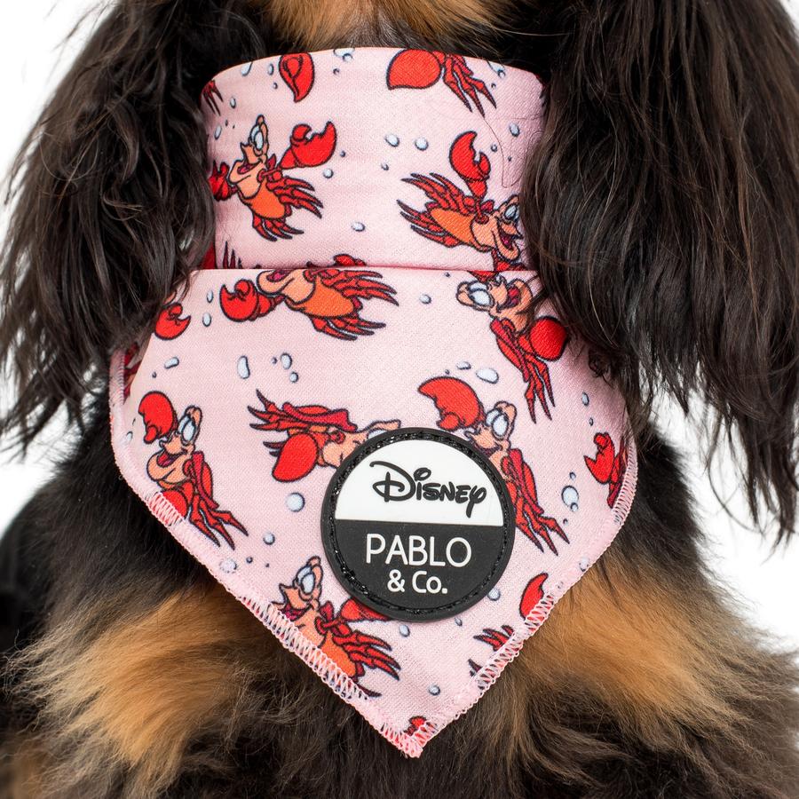 The Little Mermaid - Sebastian Dog Bandana - Pooch Luxury