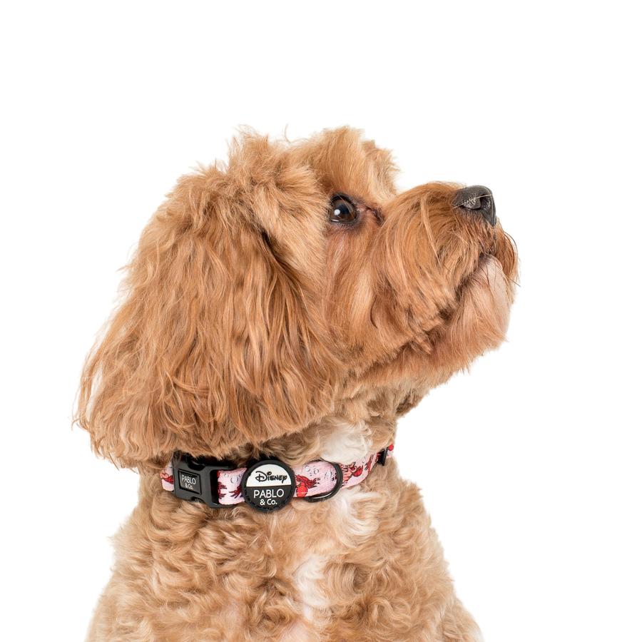 The Little Mermaid - Sebastian Dog Collar - Pooch Luxury