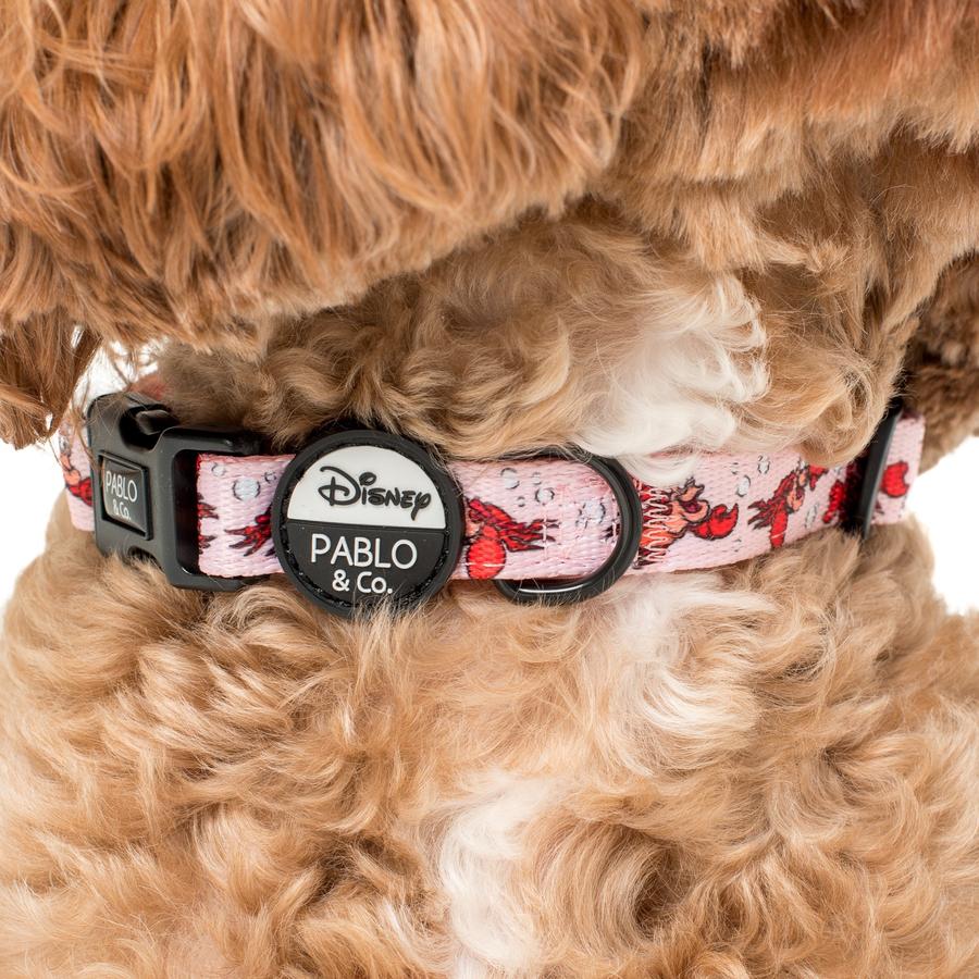 The Little Mermaid - Sebastian Dog Collar - Pooch Luxury
