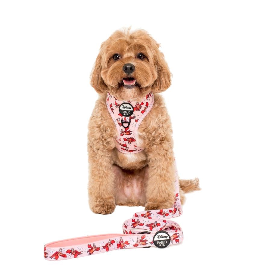 The Little Mermaid - Sebastian - Dog Leash - Pooch Luxury