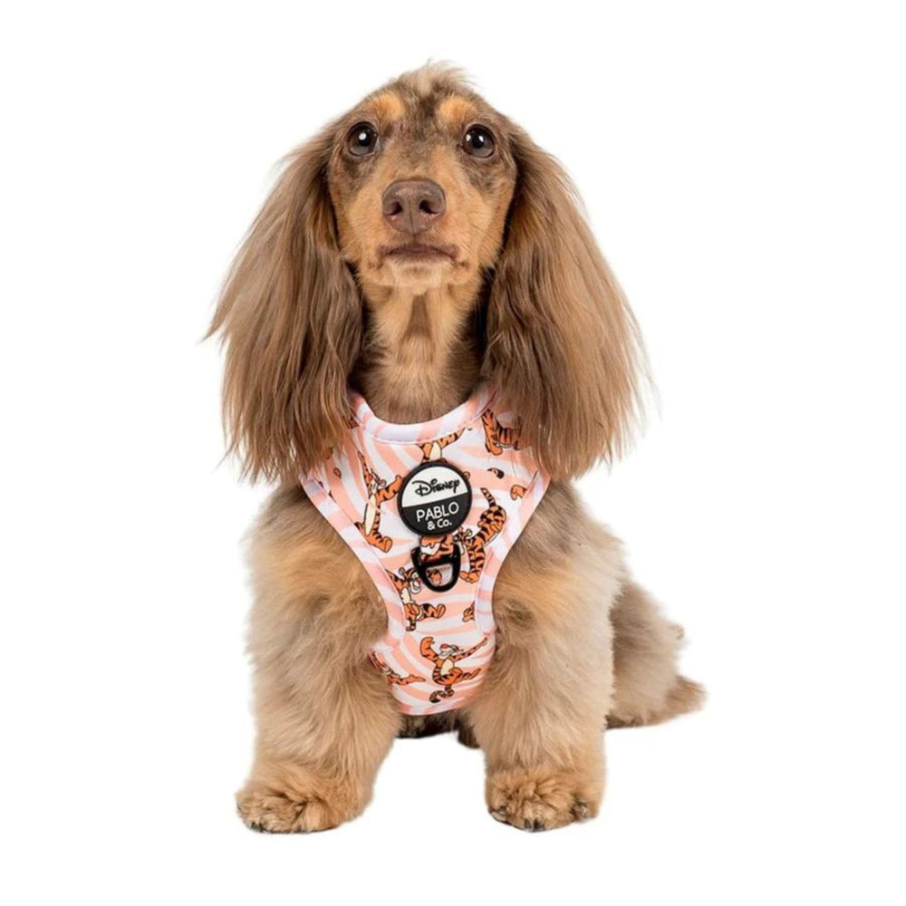 
                  
                    The One of a Kind Tigger Adjustable Harness - Pooch Luxury
                  
                