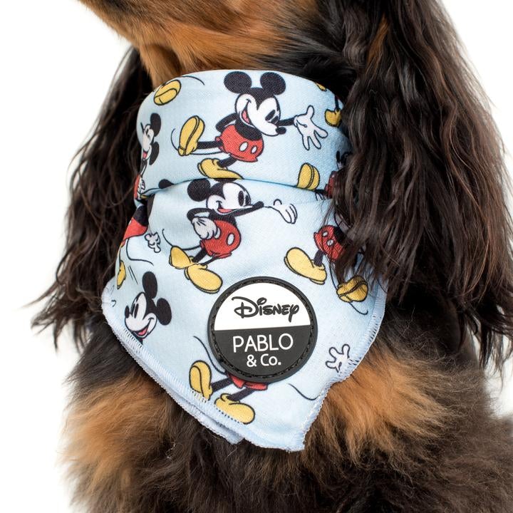 The Original Mickey Mouse Dog Bandana - Pooch Luxury