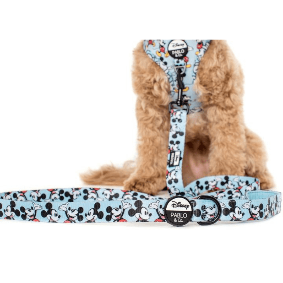 The Original Mickey Mouse Dog Leash - Pooch Luxury