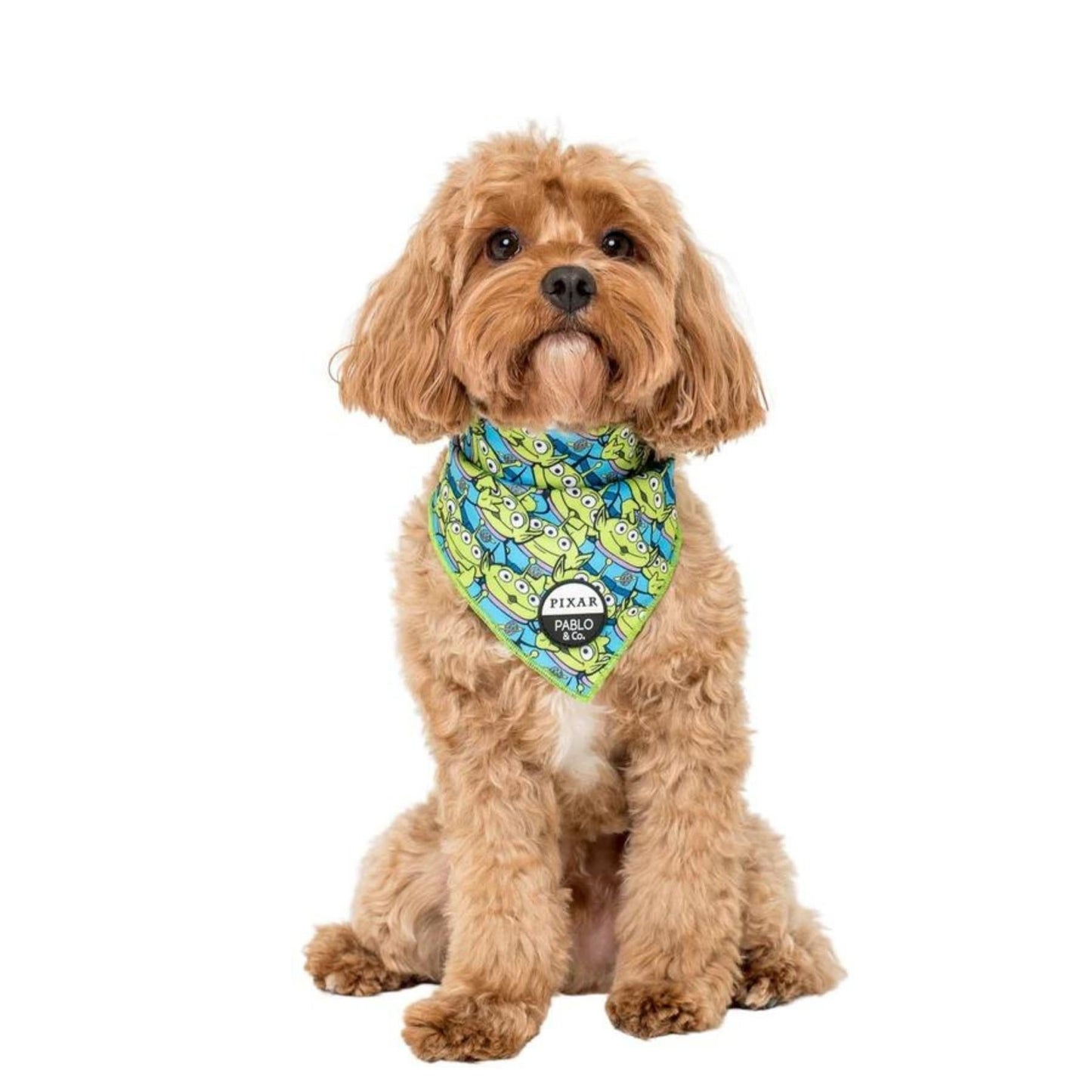 Toy Story - Aliens Dog Bandana - Pooch Luxury