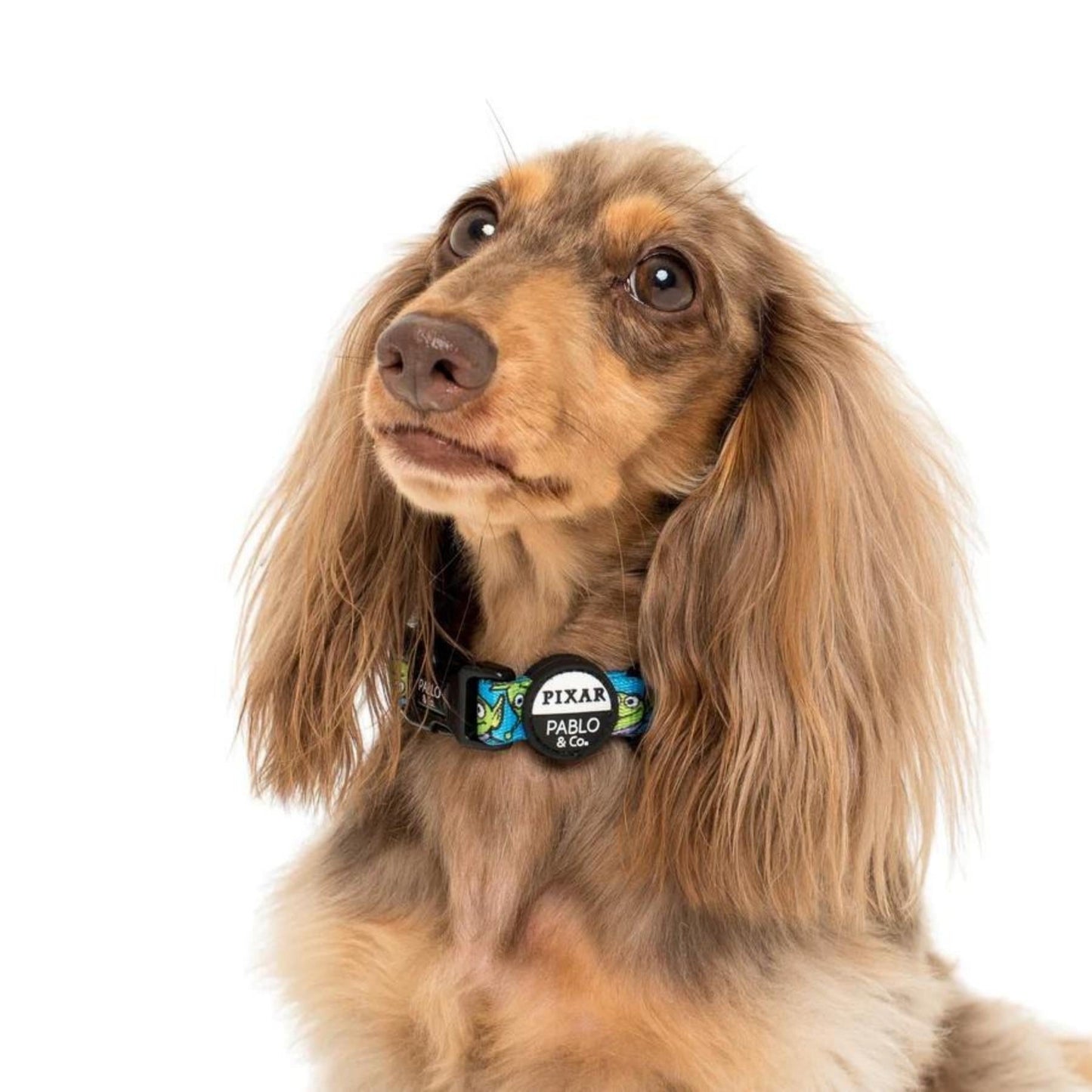 Toy Story - Aliens Dog Collar - Pooch Luxury