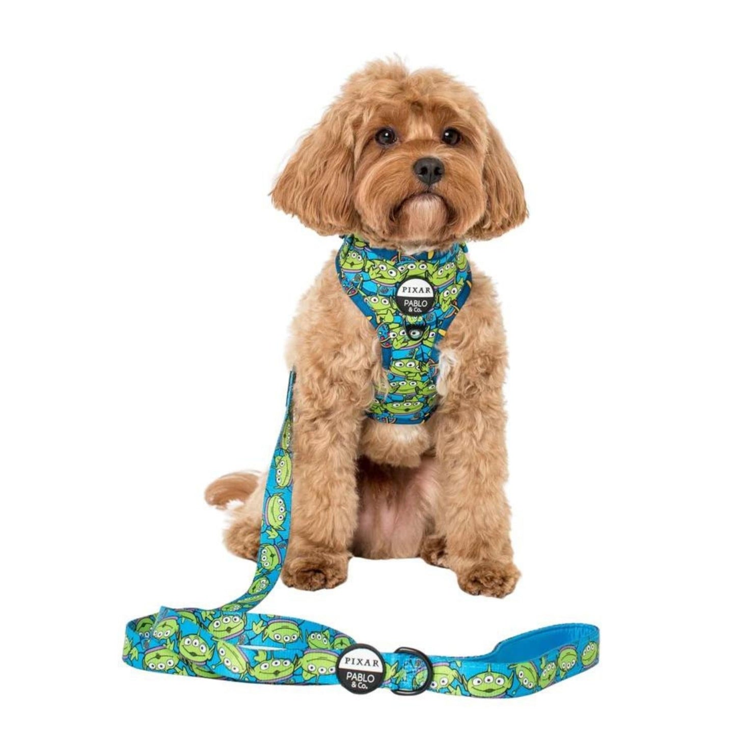 Toy Story - Aliens Dog Leash - Pooch Luxury