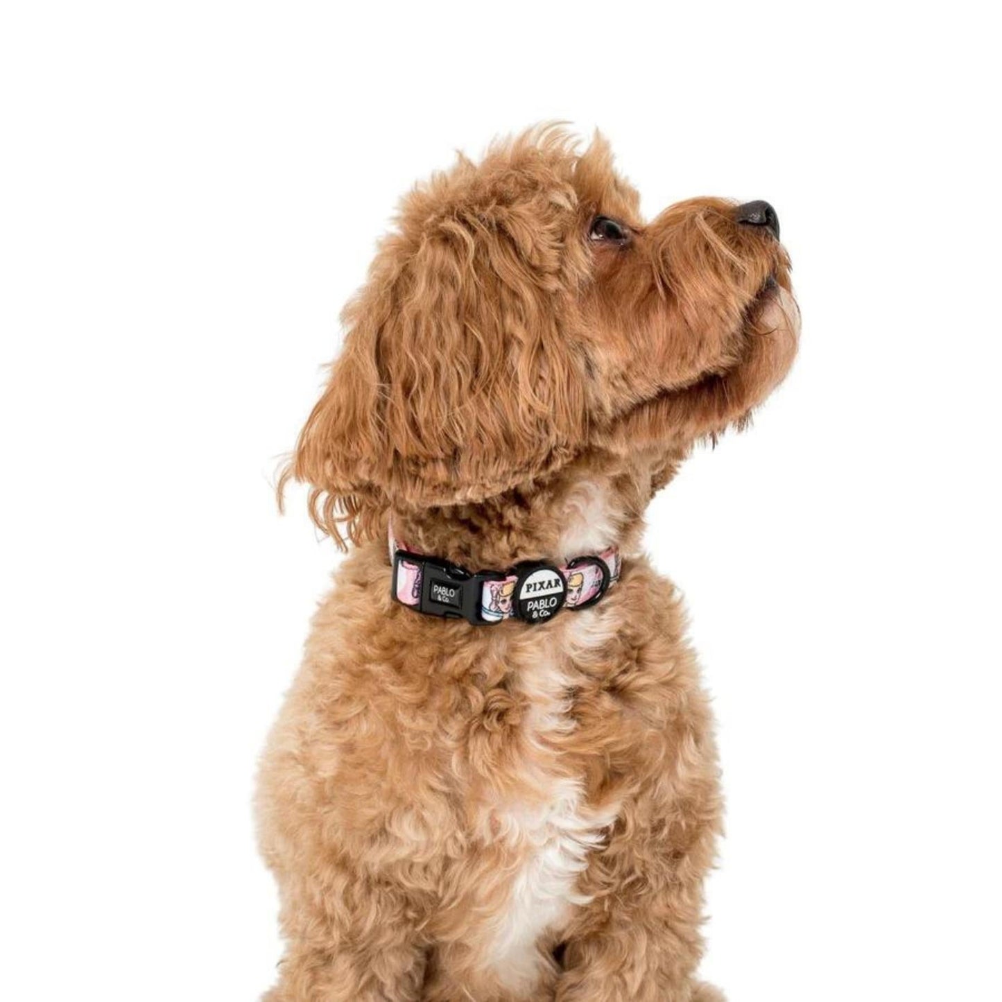 Toy Story - Bo Peep Dog Collar - Pooch Luxury