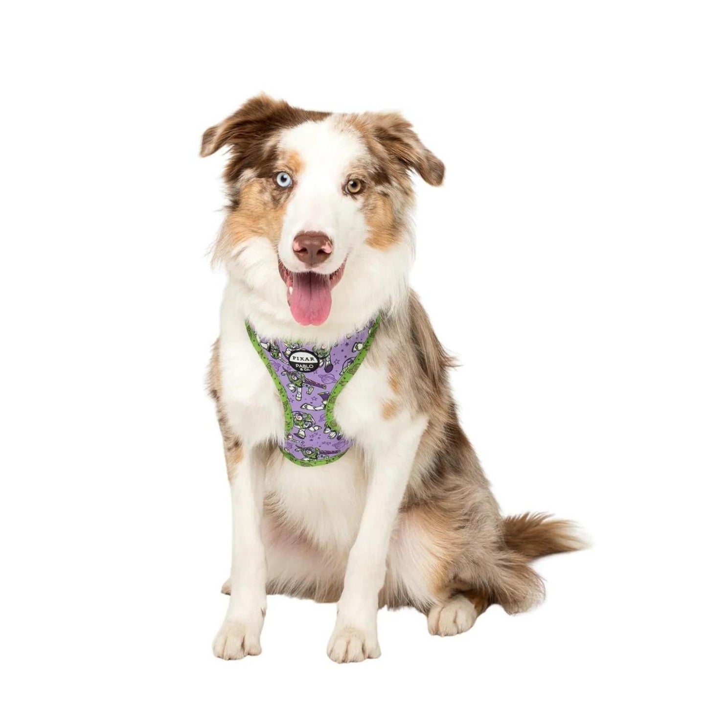 Toy Story - Buzz Lightyear Adjustable Harness - Pooch Luxury