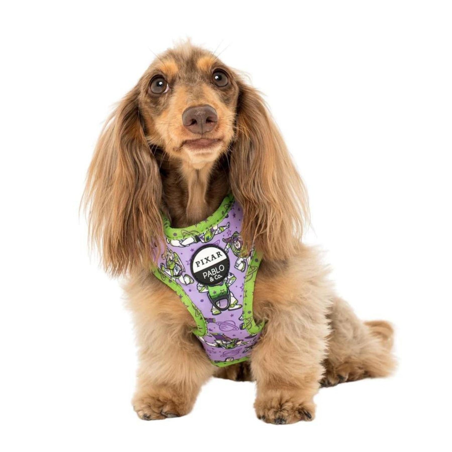 Toy Story - Buzz Lightyear Adjustable Harness - Pooch Luxury