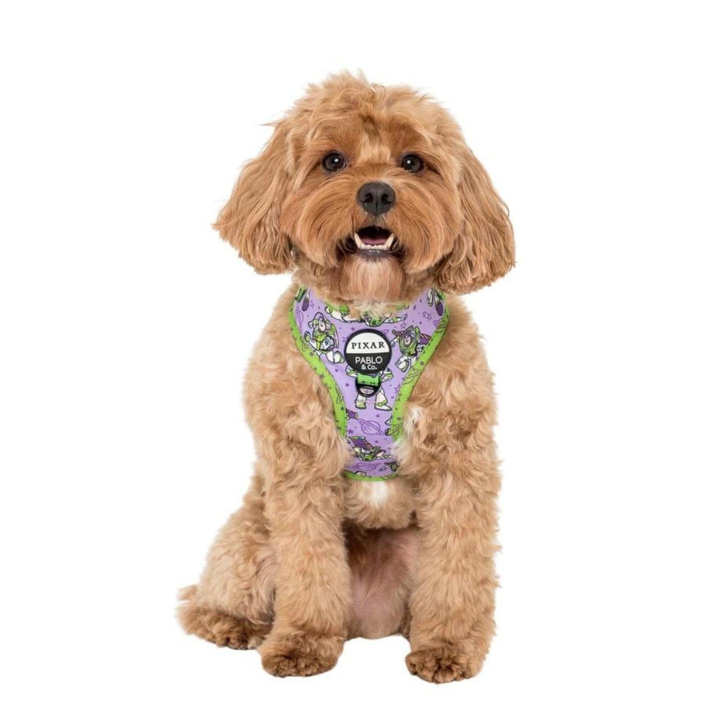 Toy Story - Buzz Lightyear Adjustable Harness - Pooch Luxury