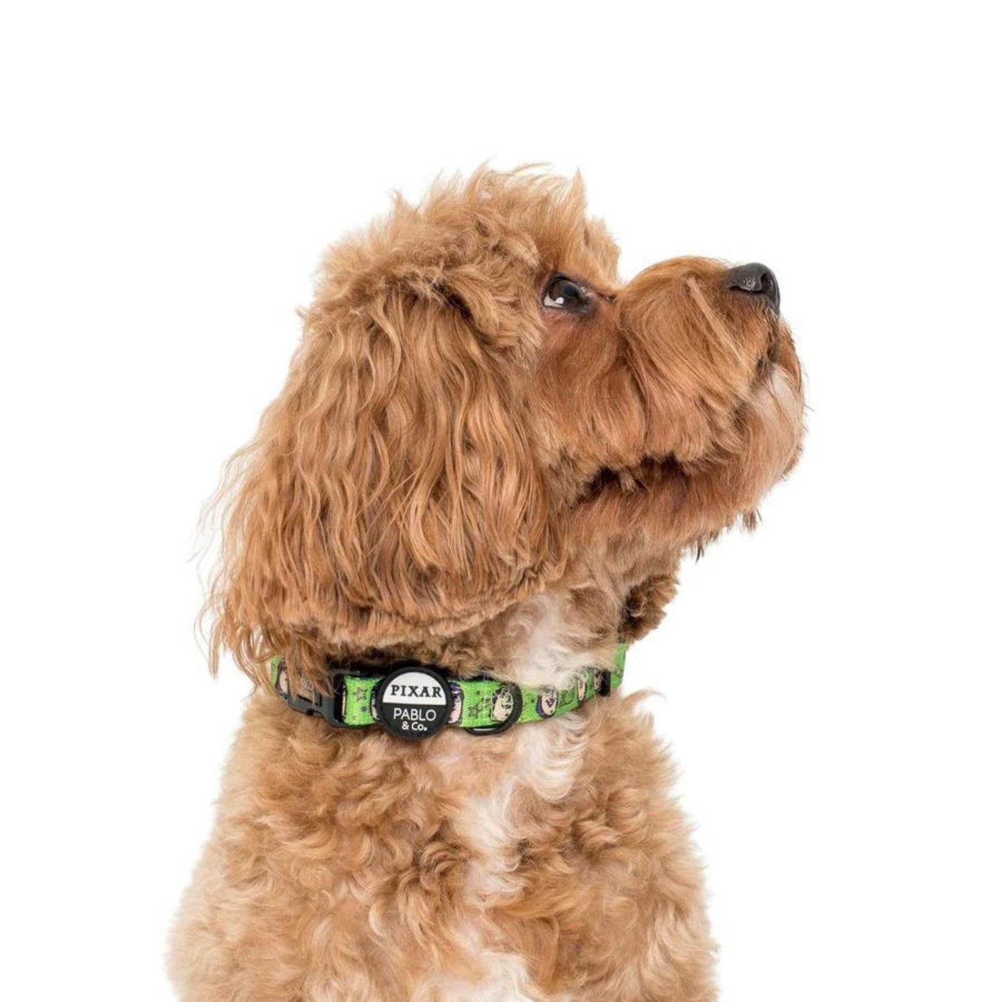 Toy Story - Buzz Lightyear Dog Collar - Pooch Luxury