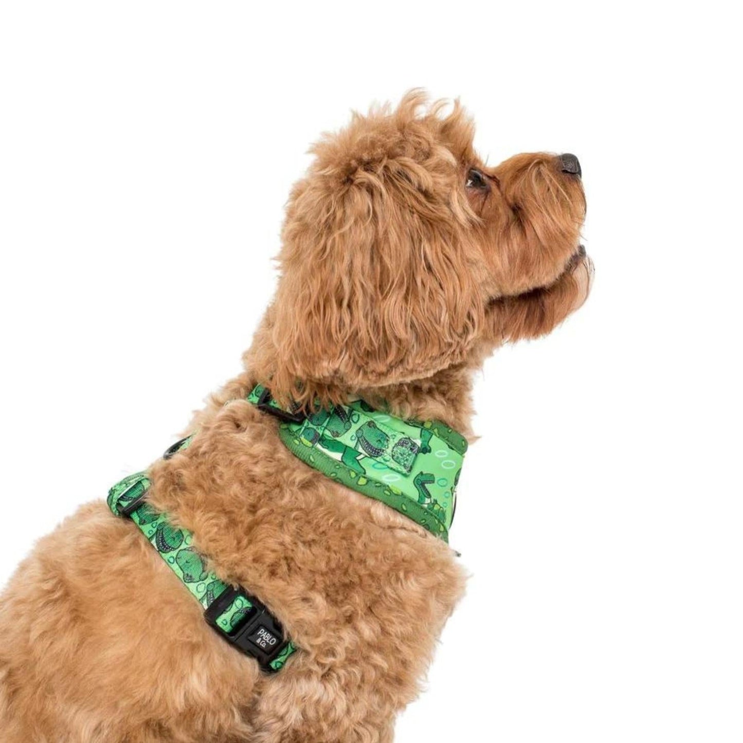 Toy Story - Rex Adjustable Harness - Pooch Luxury