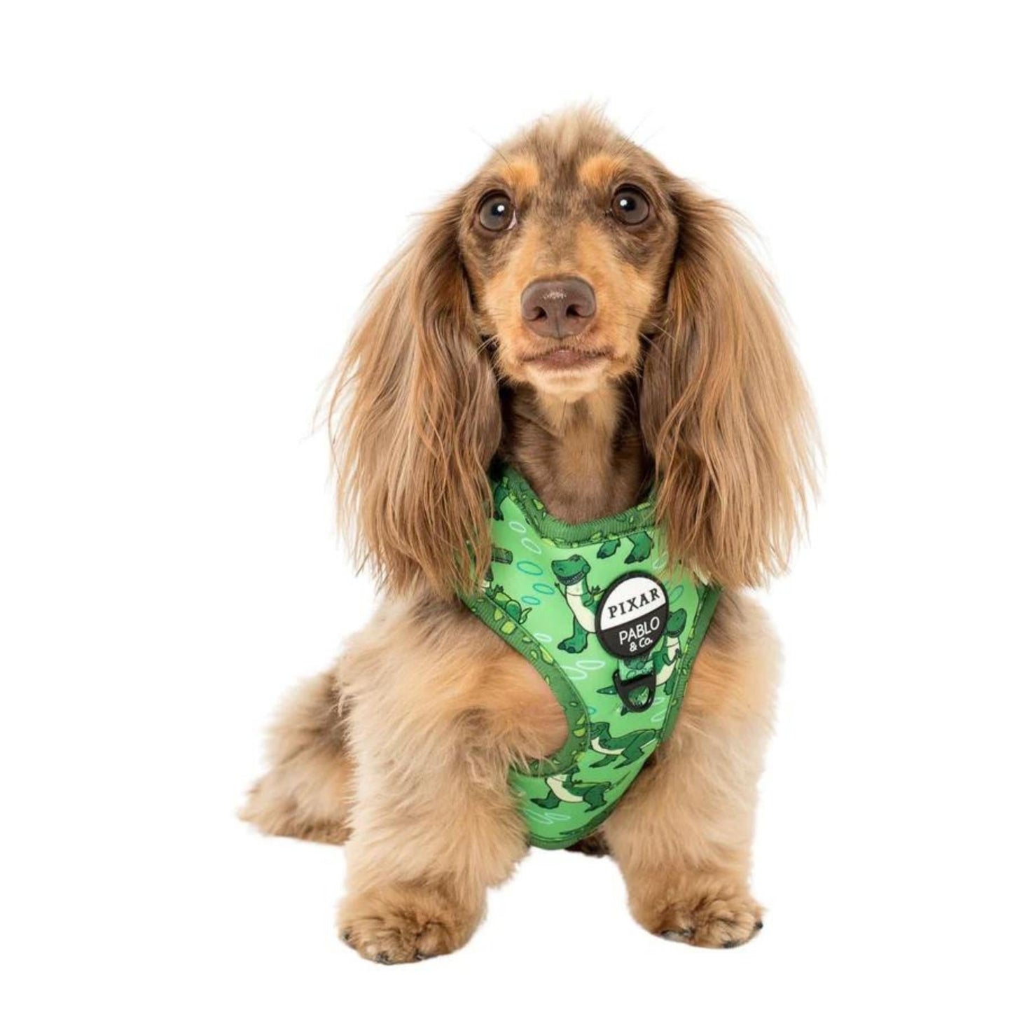 Toy Story - Rex Adjustable Harness - Pooch Luxury
