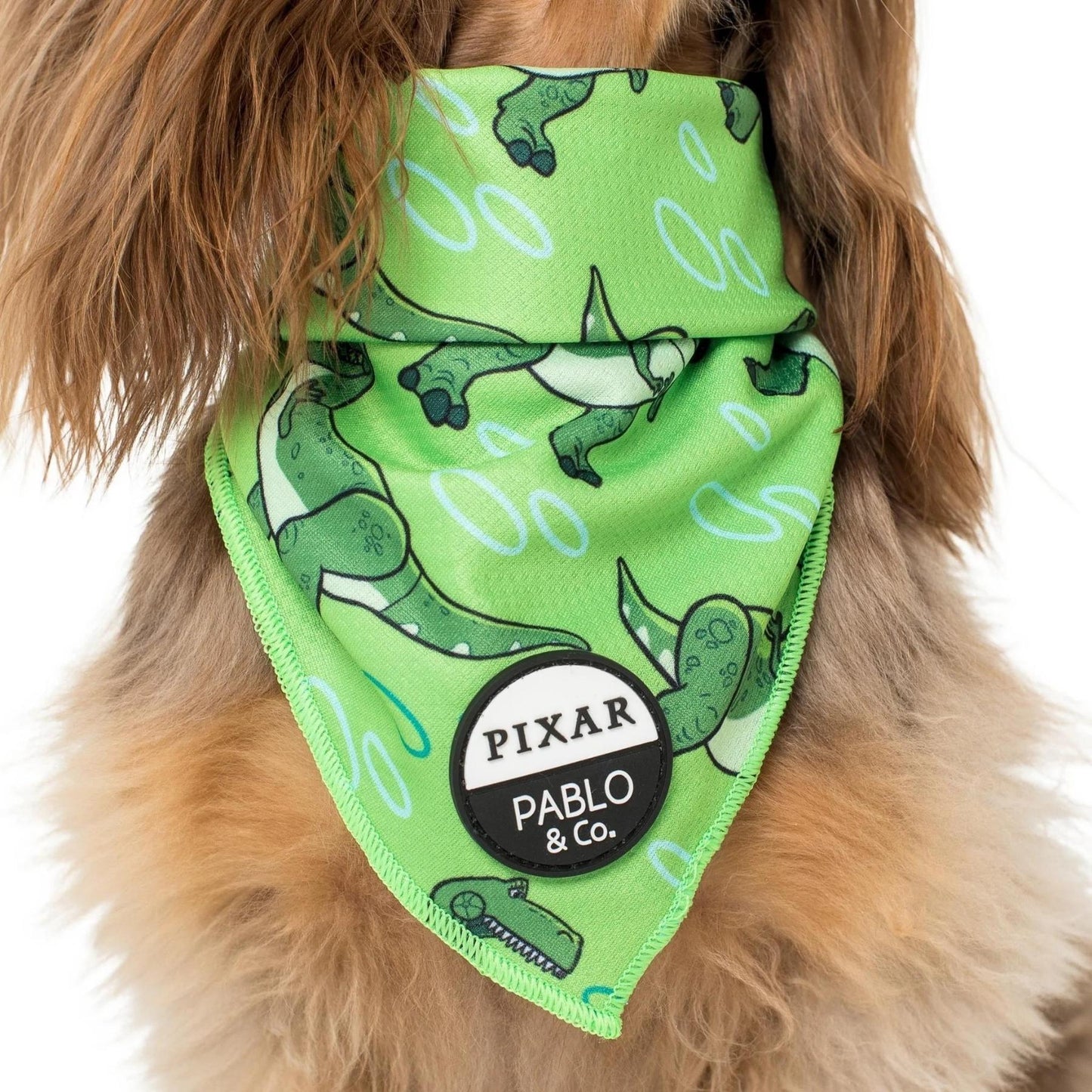 Toy Story - Rex Dog Bandana - Pooch Luxury