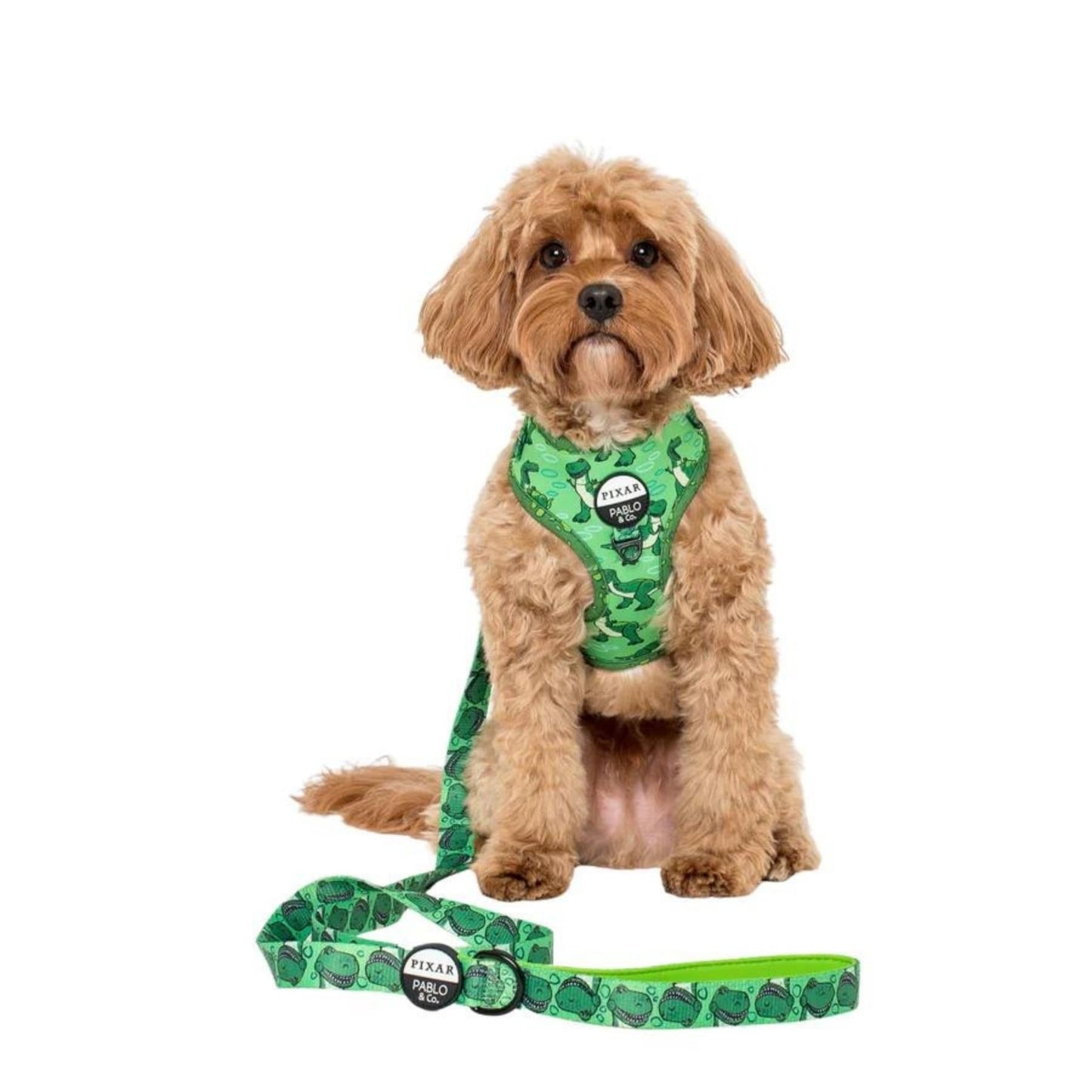 Toy Story - Rex Dog Leash - Pooch Luxury