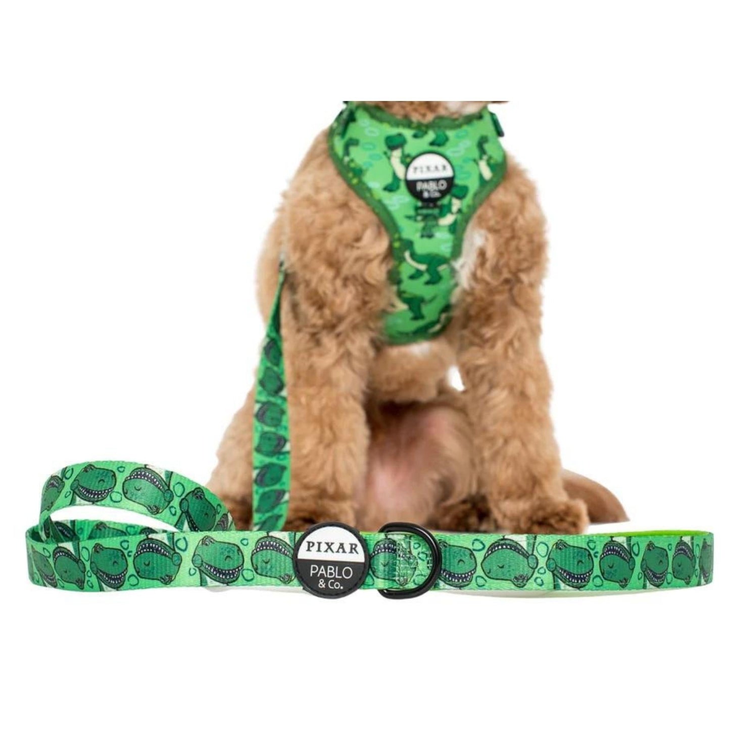 Toy Story - Rex Dog Leash - Pooch Luxury