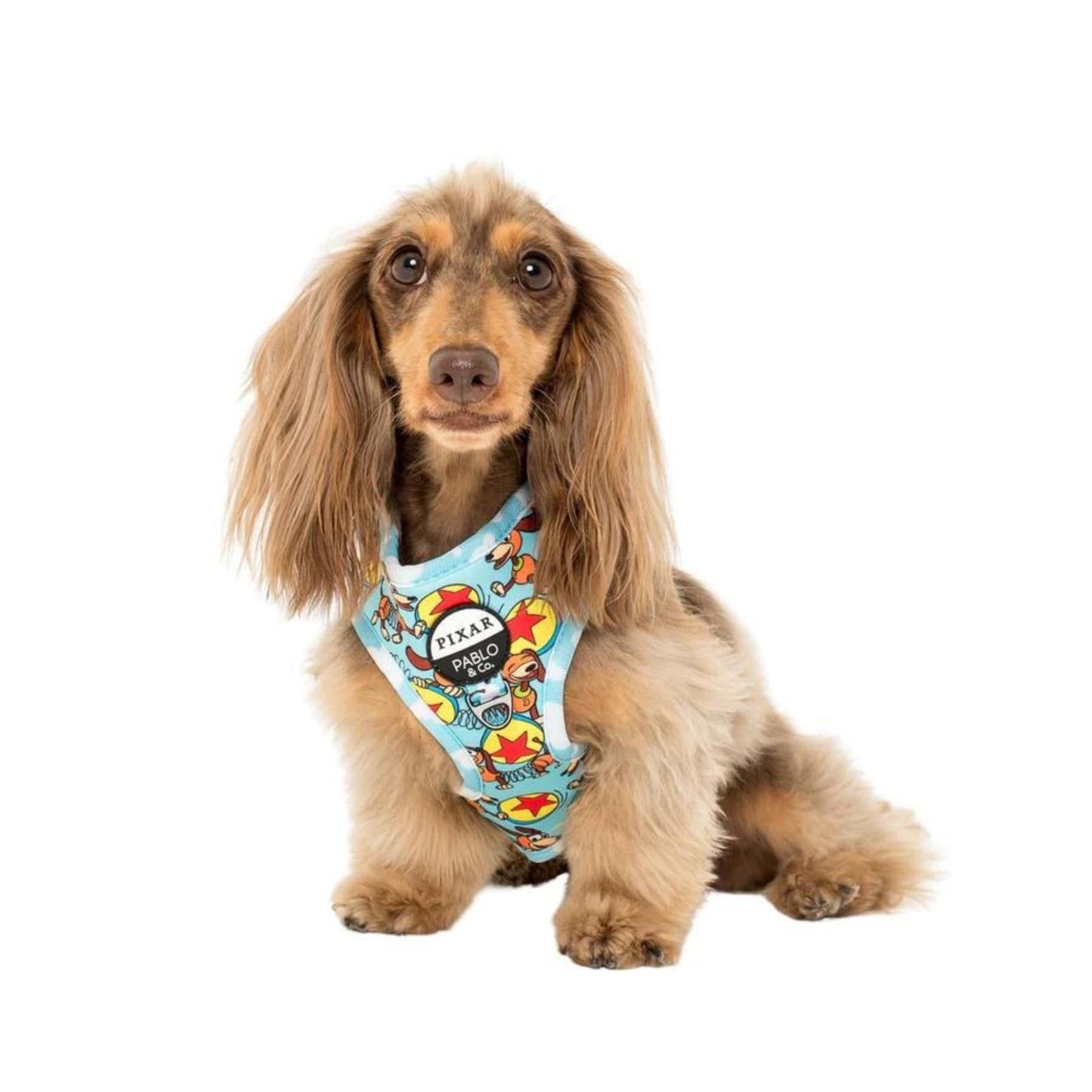 Toy Story - Slinky Dog Adjustable Harness - Pooch Luxury