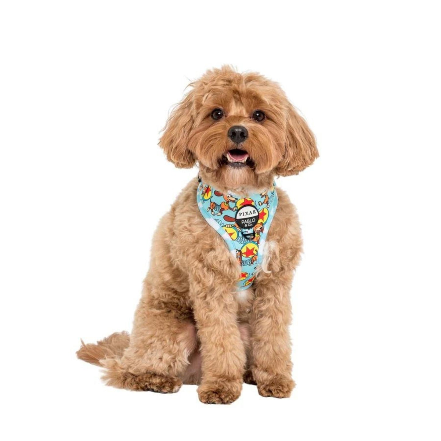 Toy Story - Slinky Dog Adjustable Harness - Pooch Luxury