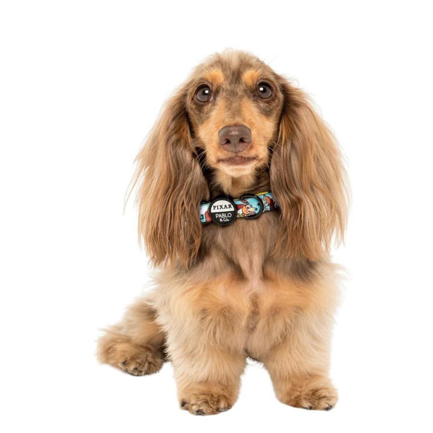 Toy Story - Slinky Dog, Dog Collar - Pooch Luxury