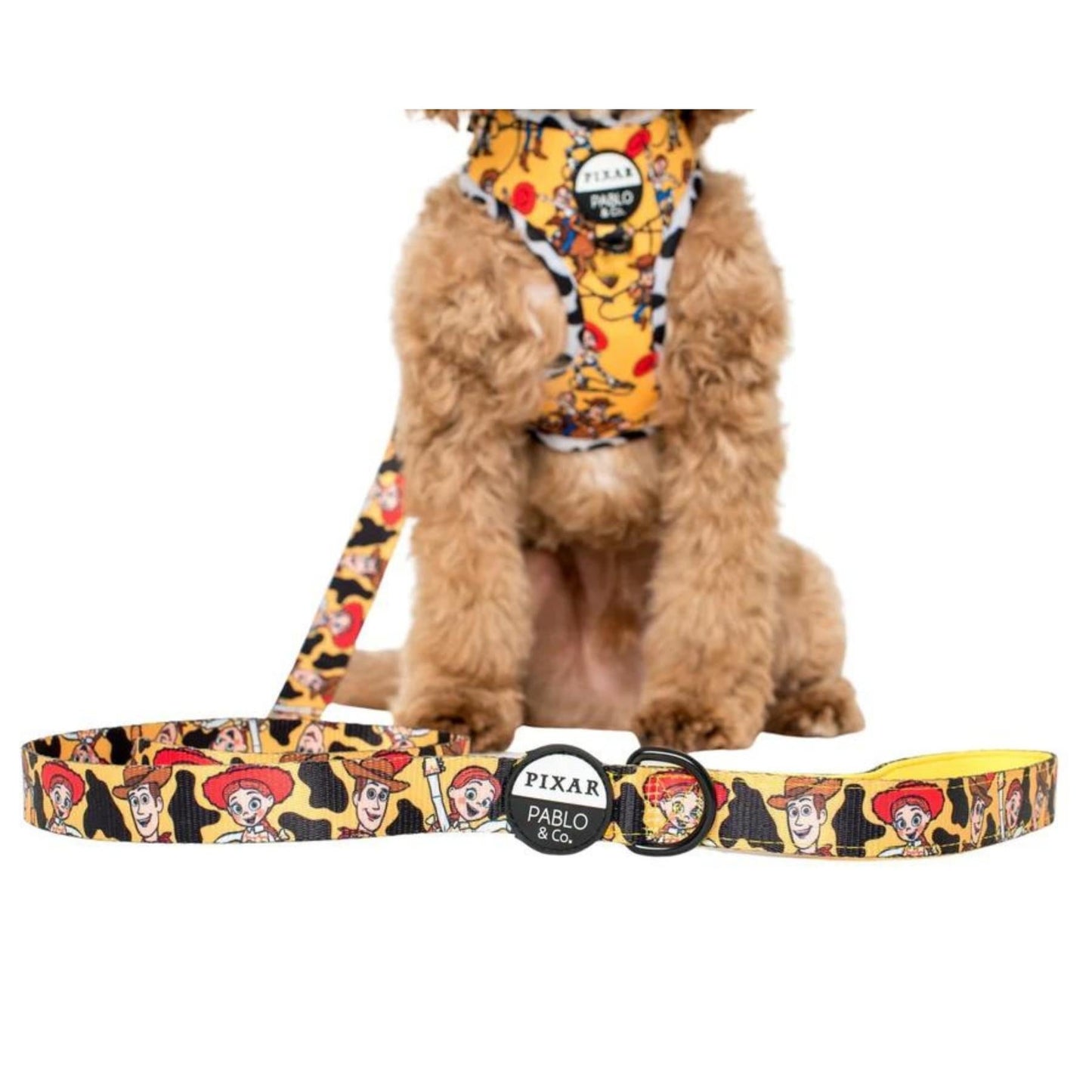 Toy Story - Woody's Roundup Dog Leash - Pooch Luxury