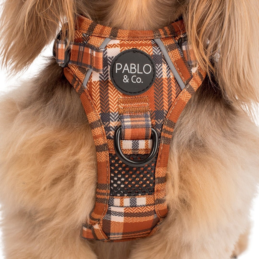 
                  
                    Vintage Plaid No Pull Adventure Harness - Pooch Luxury
                  
                