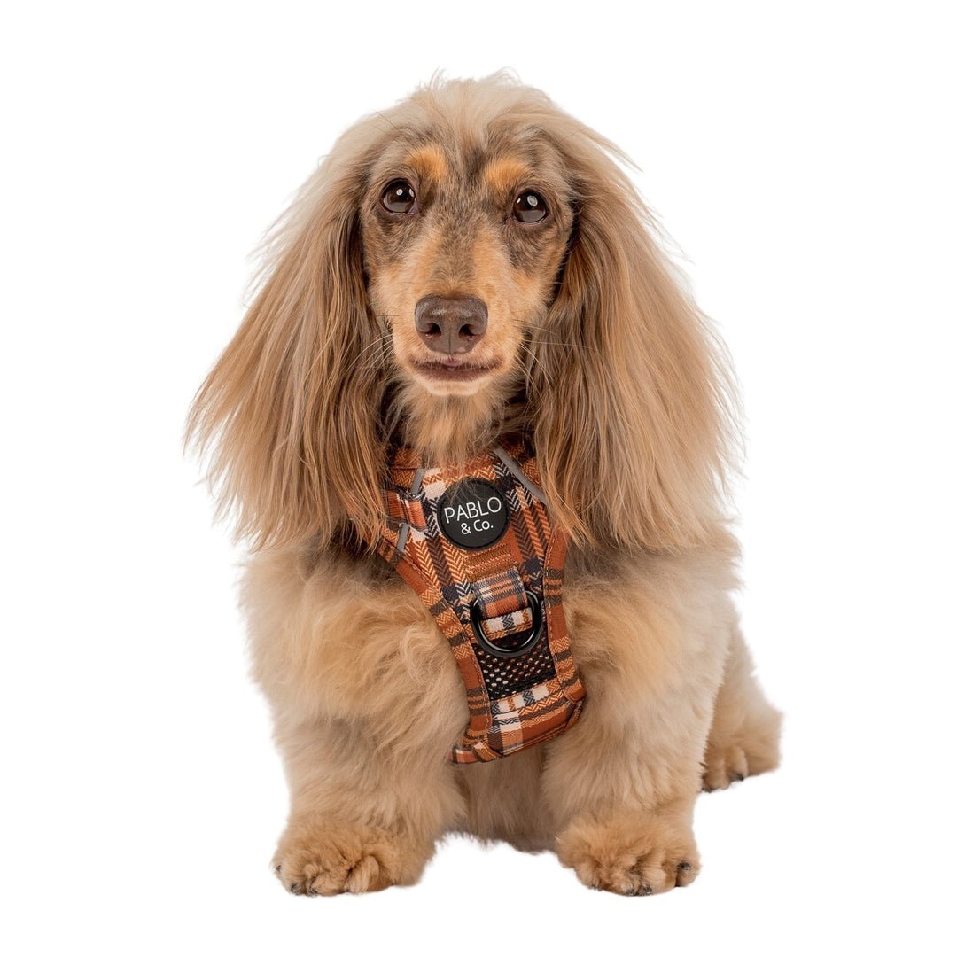 
                  
                    Vintage Plaid No Pull Adventure Harness - Pooch Luxury
                  
                