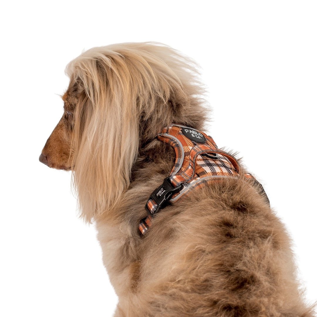 Vintage Plaid No Pull Adventure Harness - Pooch Luxury