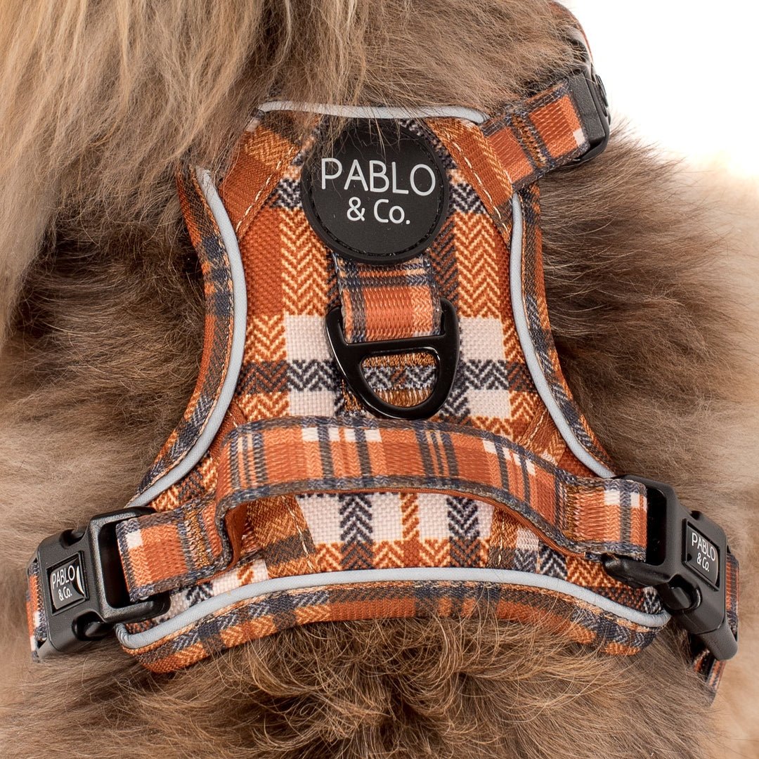Vintage Plaid No Pull Adventure Harness - Pooch Luxury